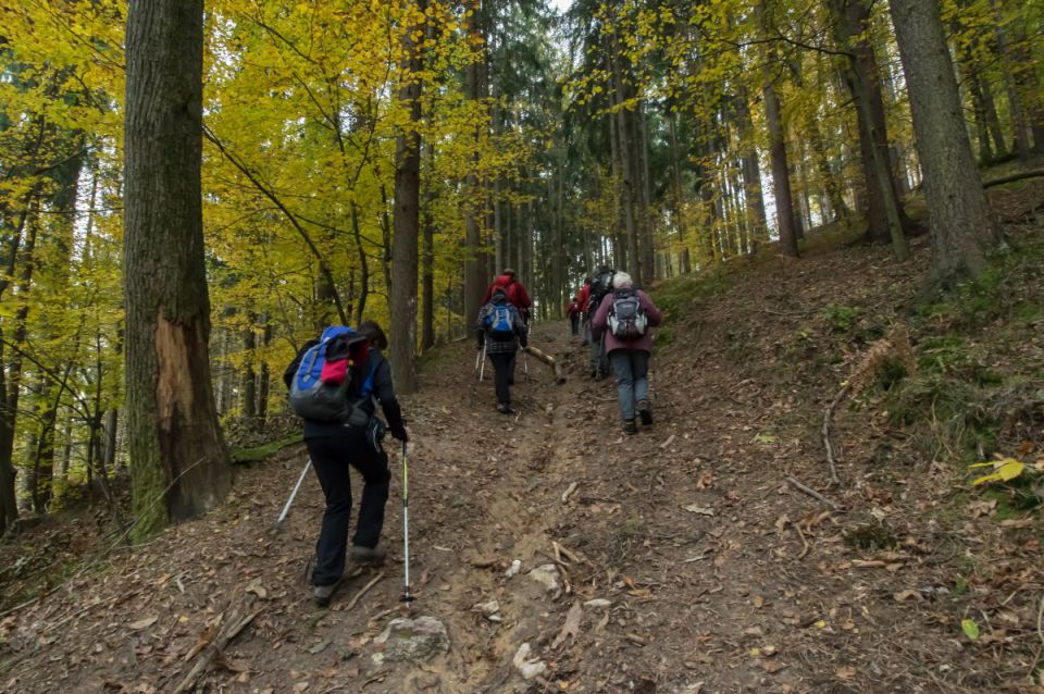 5. november 14. - foto povečava