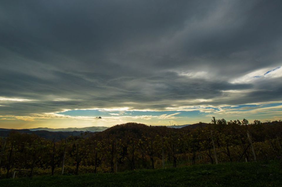 5. november 14. - foto povečava