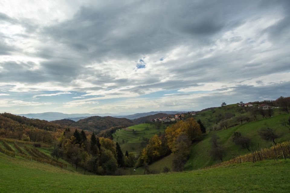 5. november 14. - foto povečava