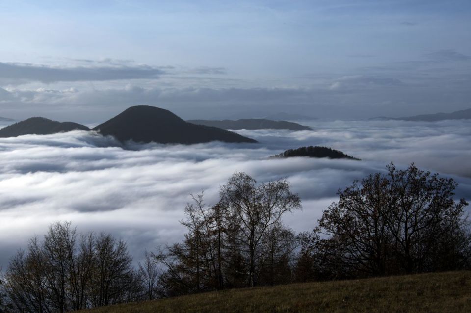 9. november 14 - foto povečava