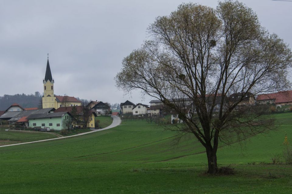 15. november 14 - foto povečava