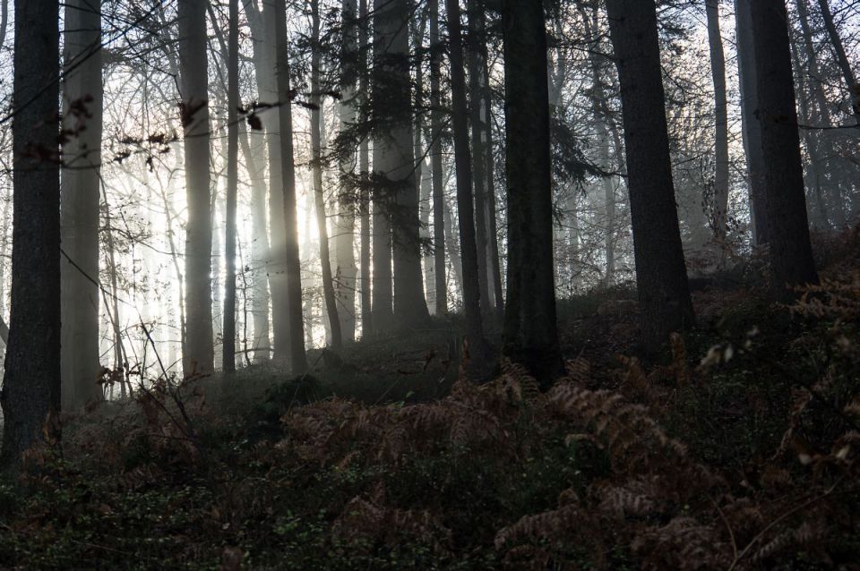 17. november 14 - foto povečava