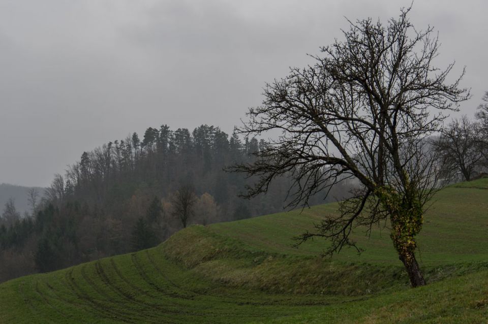 26. november 14 - foto povečava