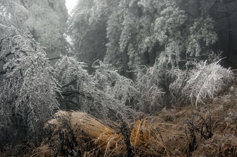 4. december 14 - foto povečava