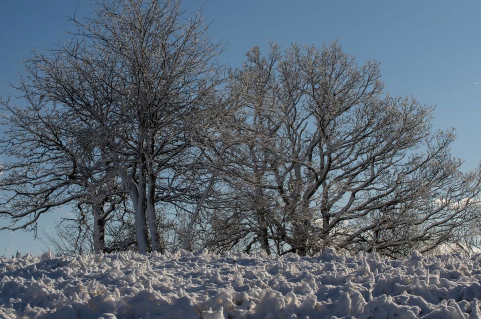 26. december 14 - foto povečava