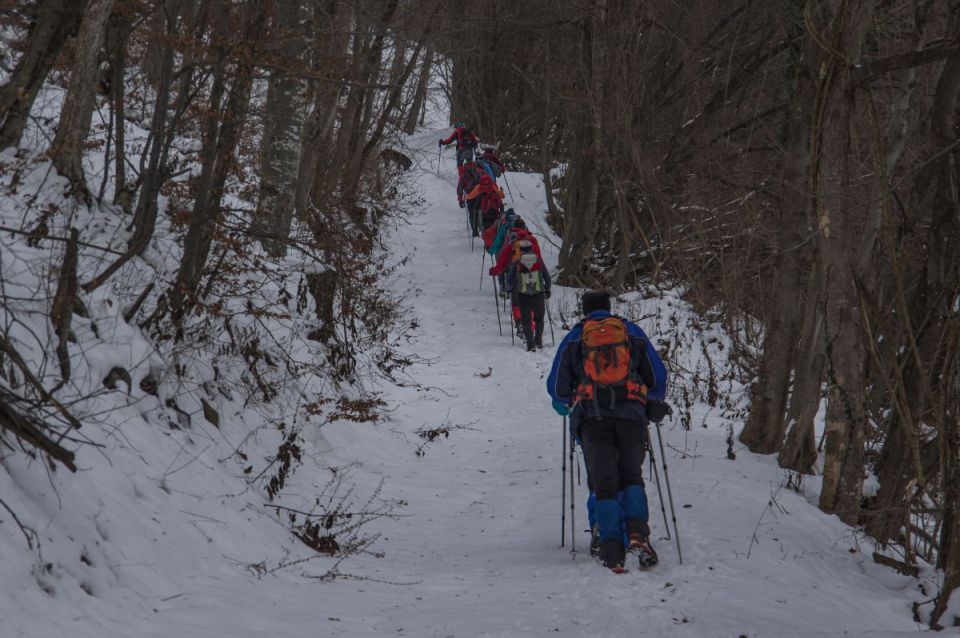 1. januar 15 - foto povečava