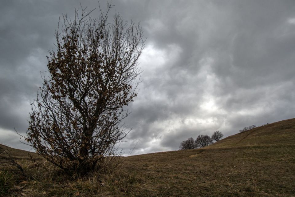 17. januar 15 - foto povečava