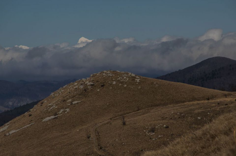 19. januar 14 - foto povečava