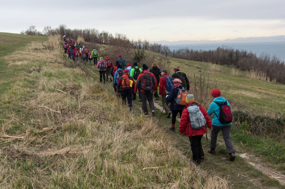 24. januar 15 - foto povečava