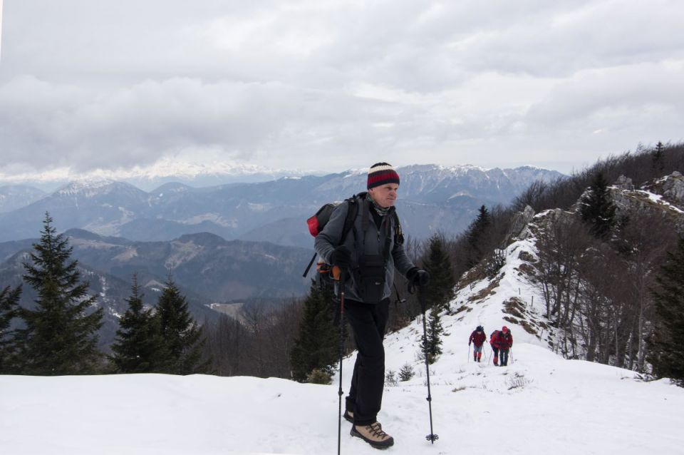 29. januar 15 - foto povečava