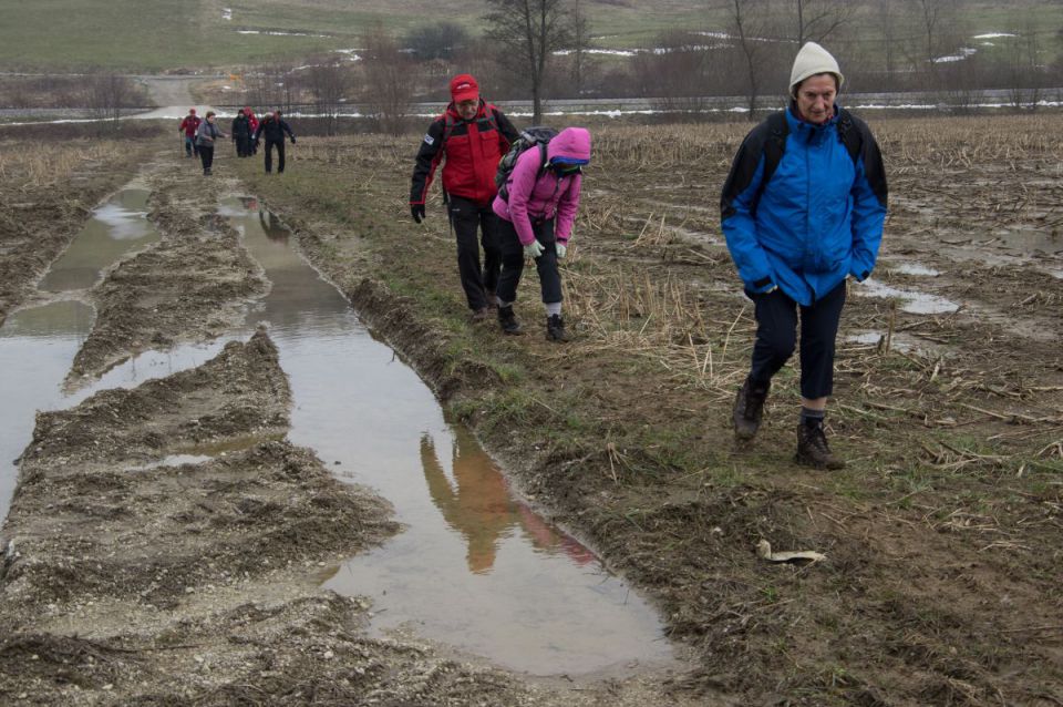 14. februar 15 - foto povečava