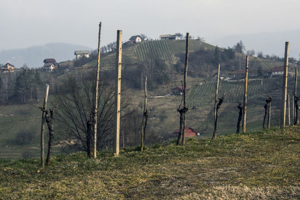 16. marec 15 - foto povečava