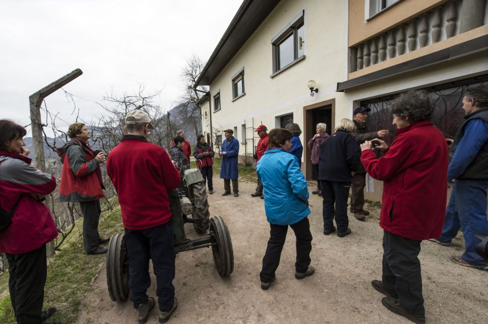 25. marec 15 - foto povečava