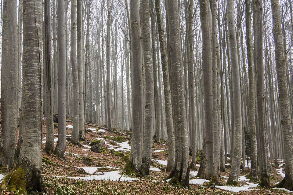 9. april 15 - foto povečava