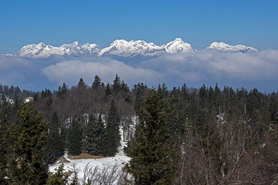 9. april 15 - foto povečava