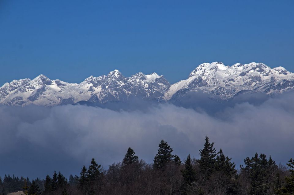 9. april 15 - foto povečava