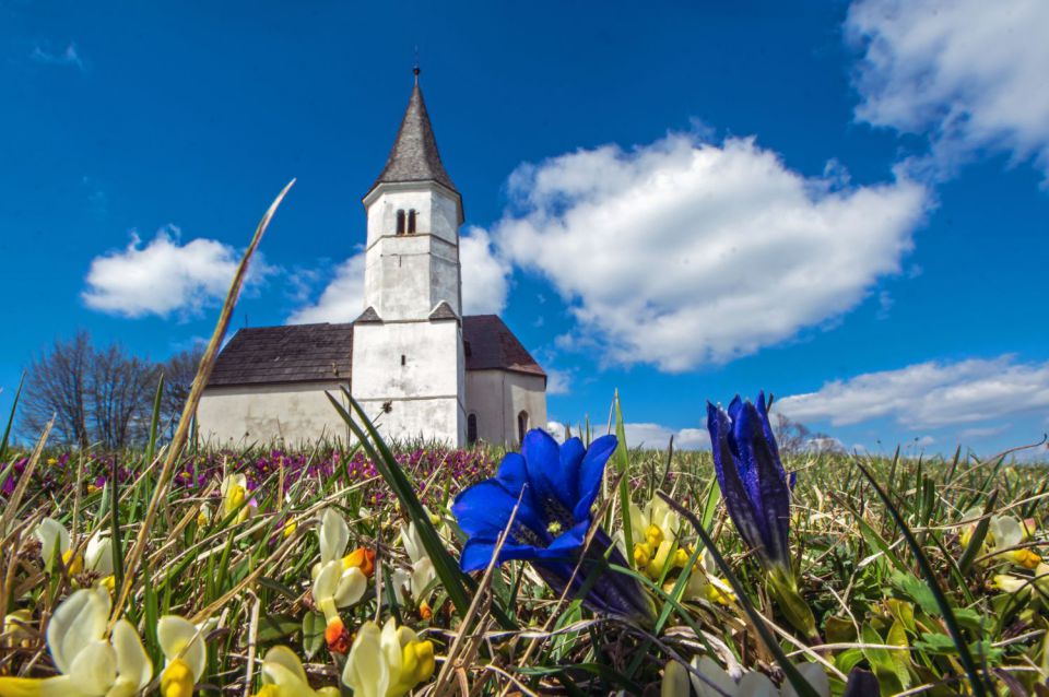 19. april 15 - foto povečava