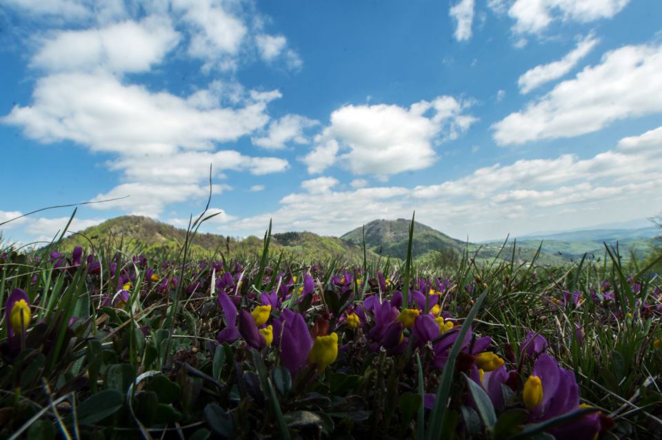 19. april 15 - foto povečava