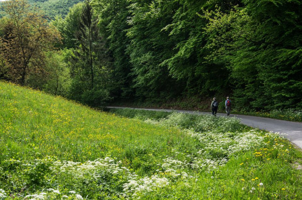 4. maj 15 - foto povečava