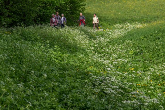 4. maj 15 - foto