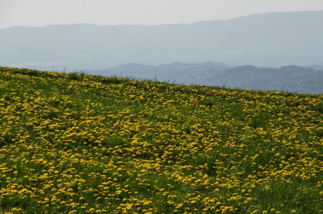 5. maj 15 - foto