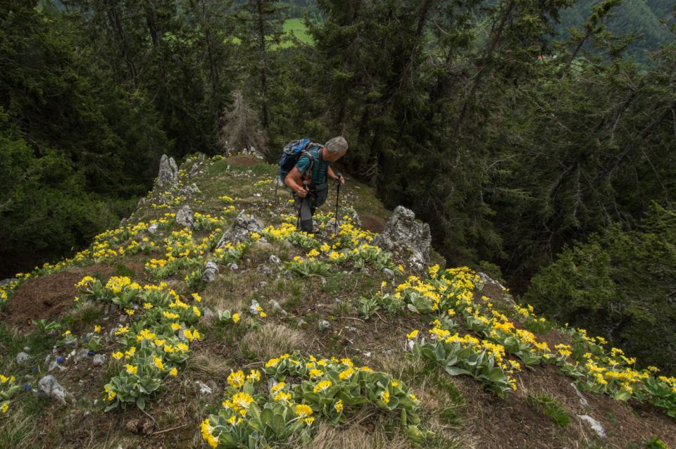 14. maj 15 - foto povečava