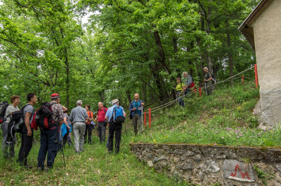 17. maj 15 - foto povečava