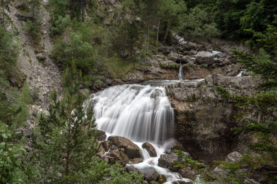 1. junij 15 - foto povečava