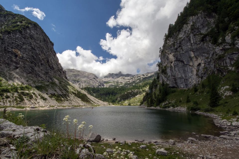 25.in 26. junij 15 - foto povečava