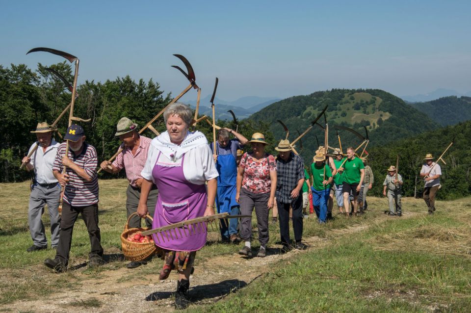 11. julij 15 - foto povečava