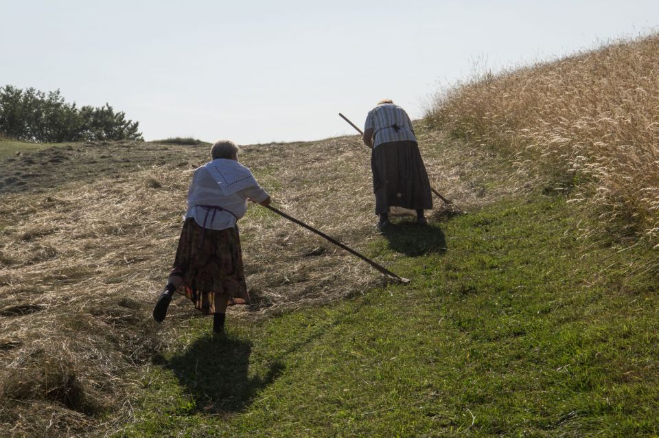 11. julij 15 - foto povečava