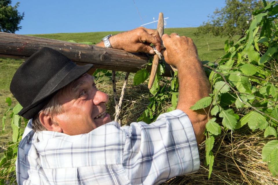 11. julij 15 - foto povečava