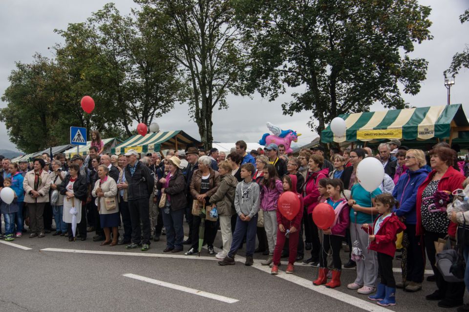 5. september 15 - foto povečava