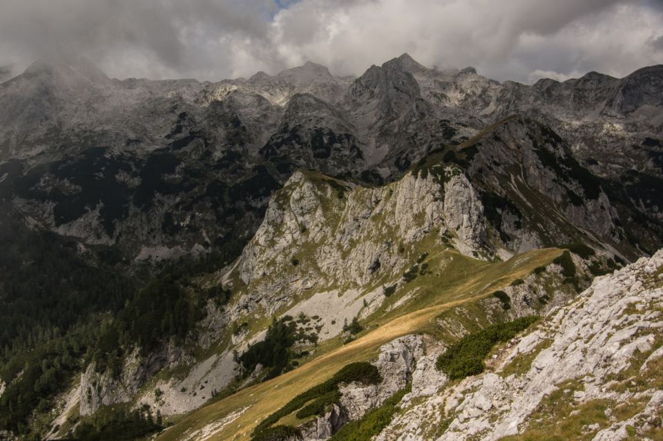 10. september 15 - foto povečava