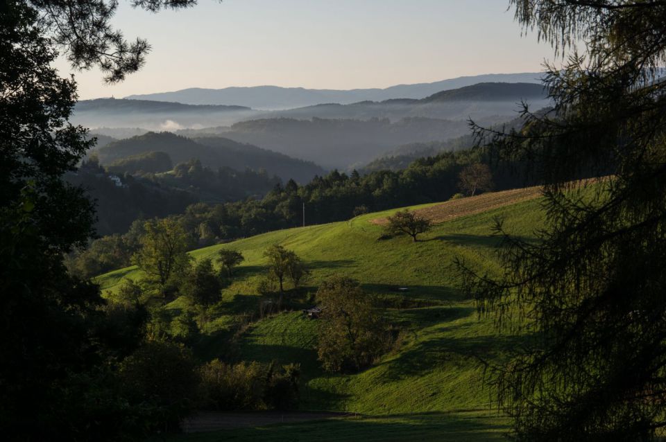 21. september 15 - foto povečava