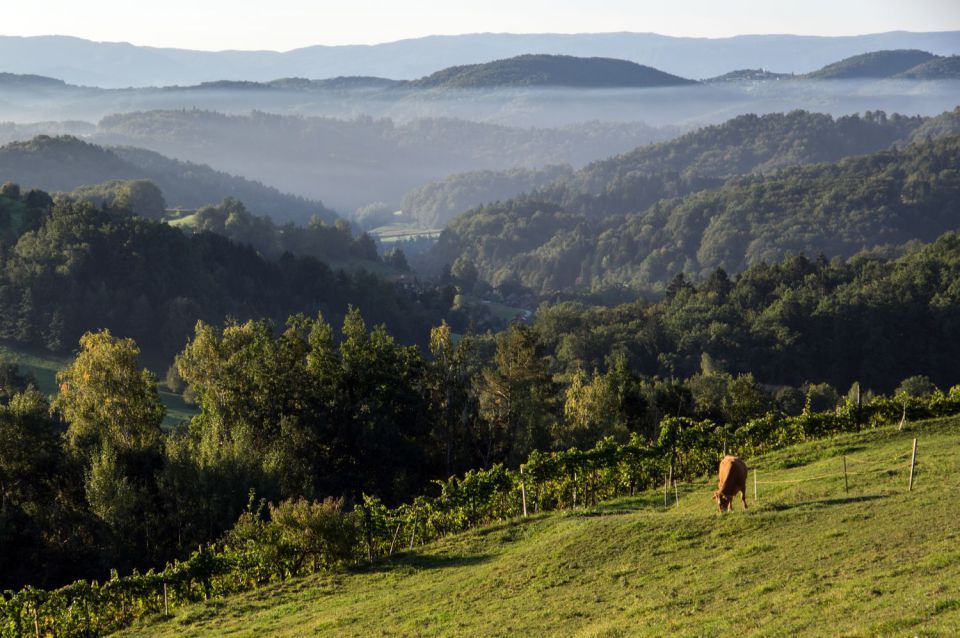 21. september 15 - foto povečava