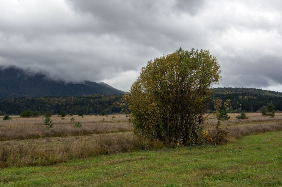 8. oktober 15 - foto povečava