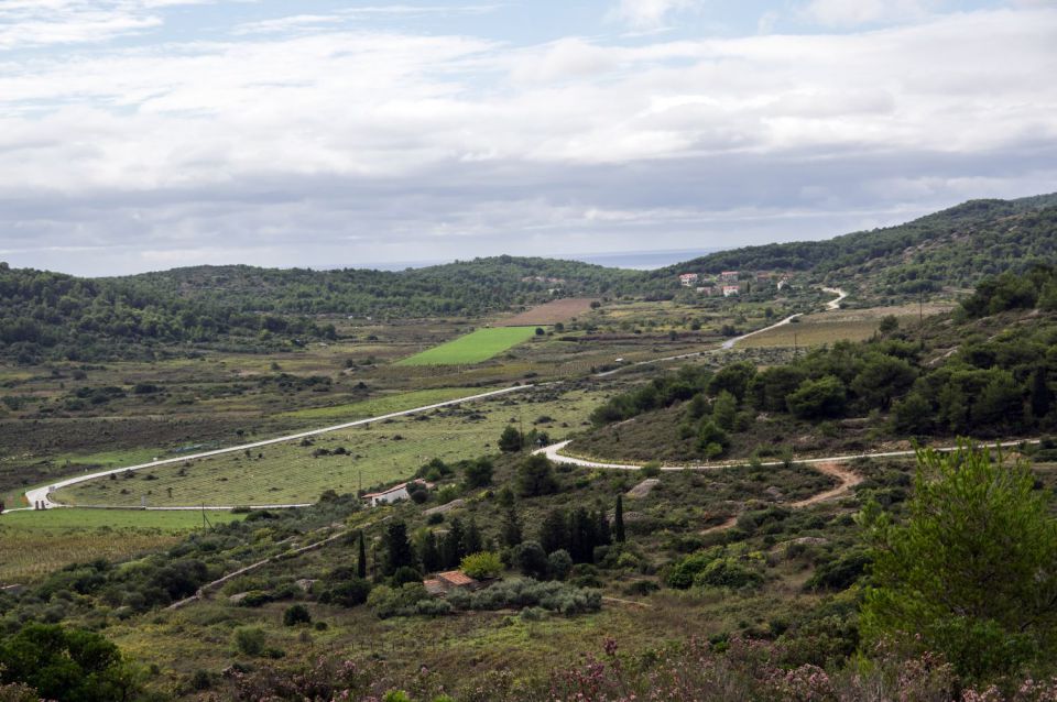 11. oktober 15 - foto povečava