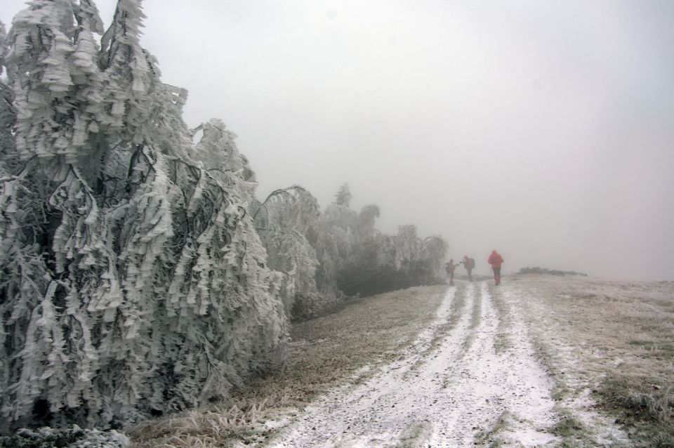 22. oktober 15 - foto povečava