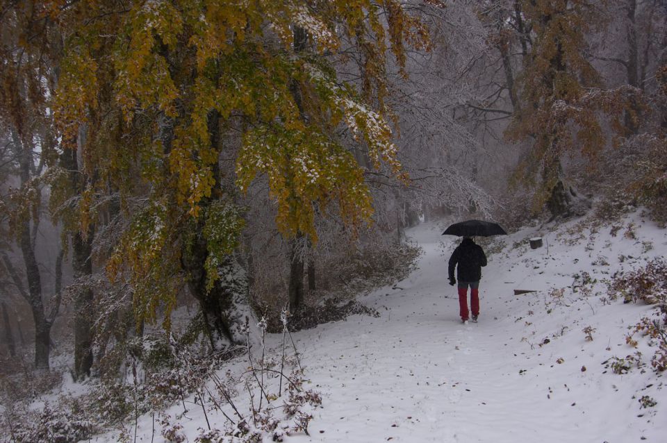 22. oktober 15 - foto povečava