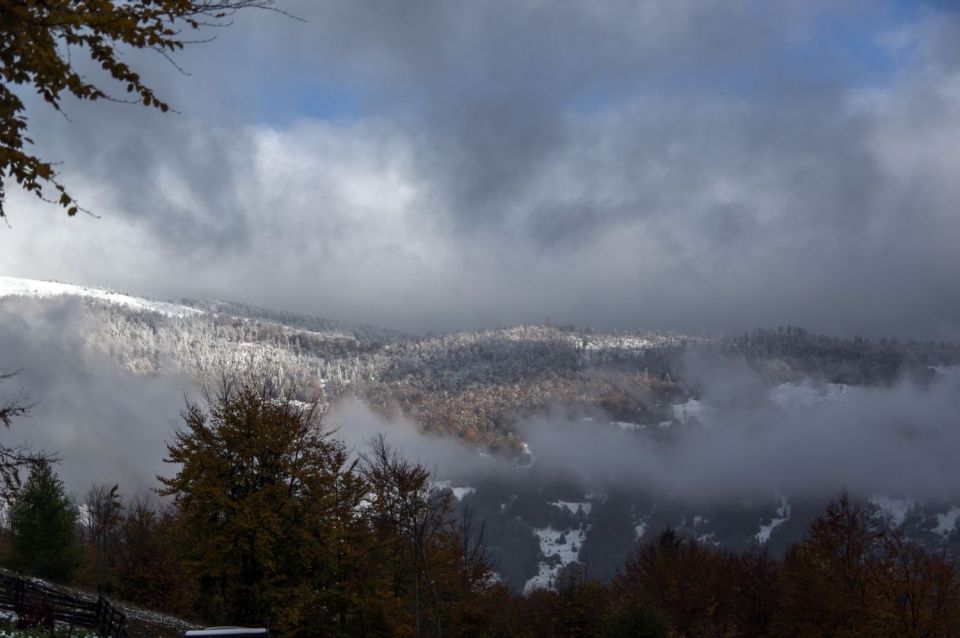 24. oktober 15 - foto povečava