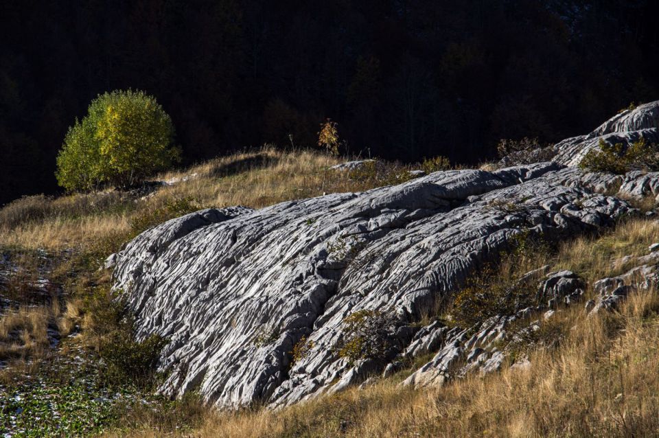 24. oktober 15 - foto povečava