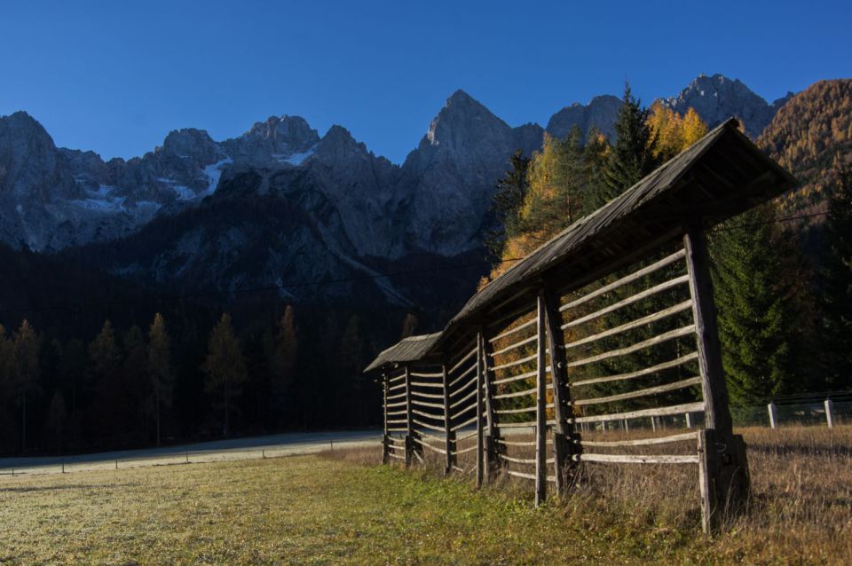 2. november 15 - foto povečava