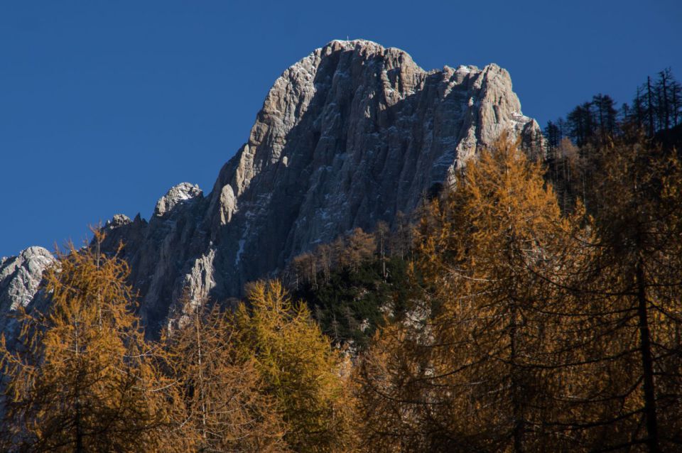 2. november 15 - foto povečava