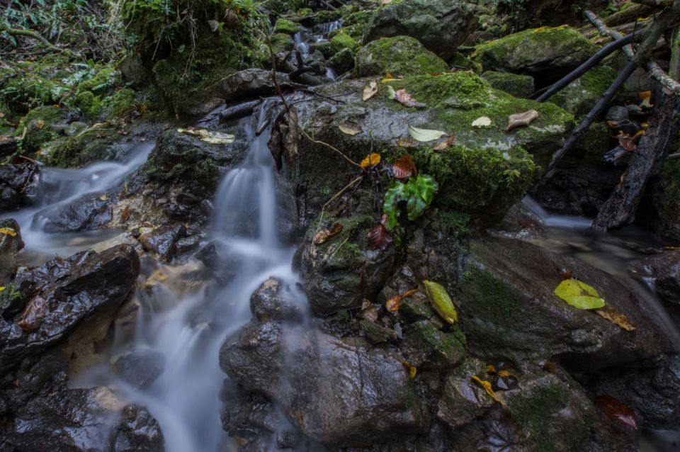 4. november 15 - foto povečava