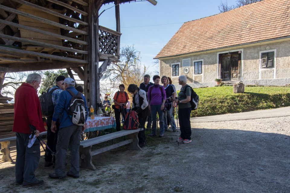 11. november 15 - foto povečava