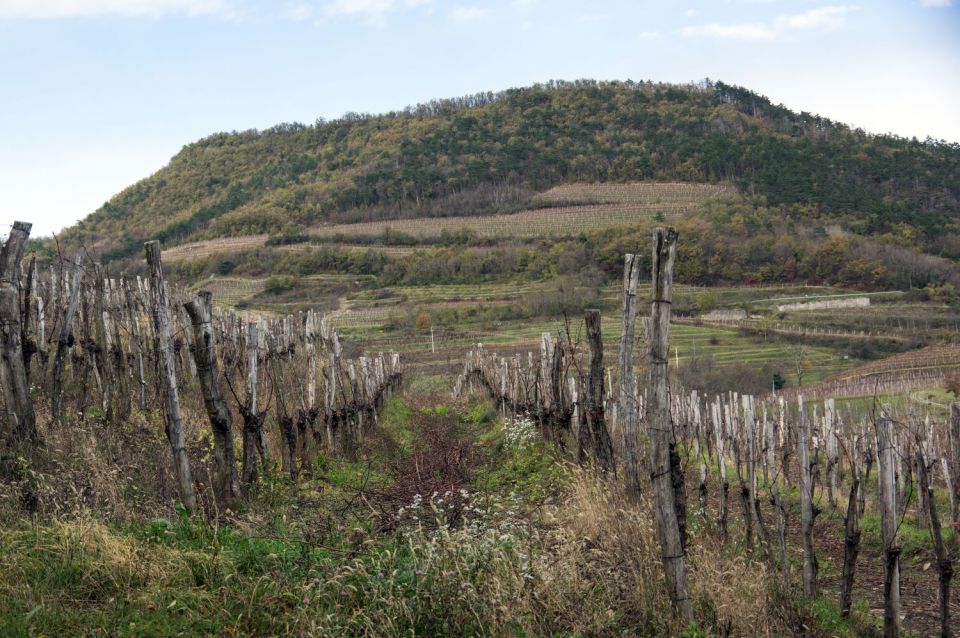 22. november 15 - foto povečava