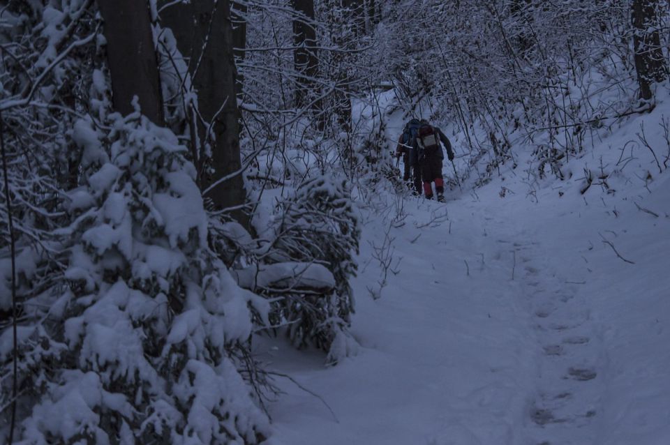 7. januar 16 - foto povečava