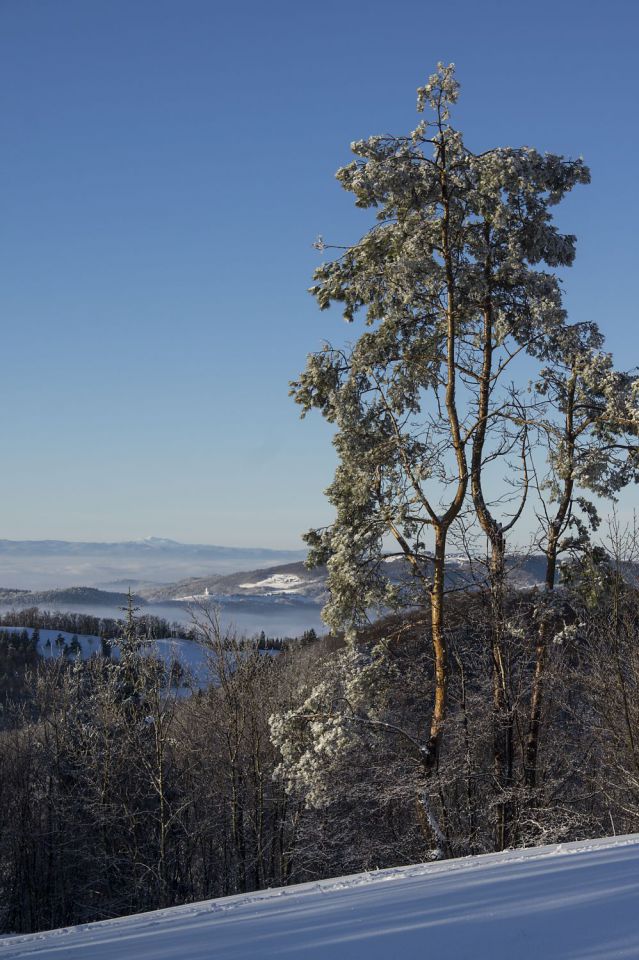 7. januar 16 - foto povečava