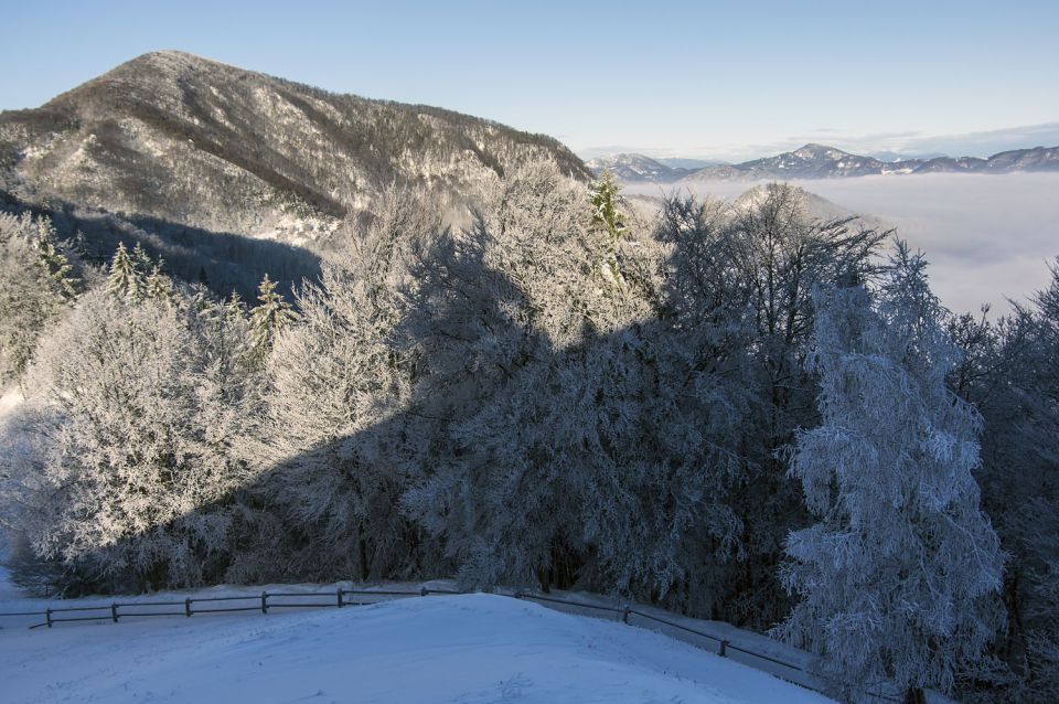 7. januar 16 - foto povečava